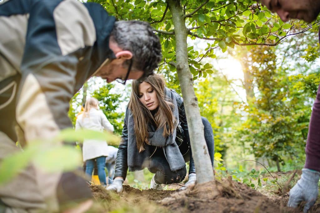Unternehmensfotografie Santiago Advisors Imagemotive Baumpflanzen Im Wald Project Zero Natur Frau Konzentriert